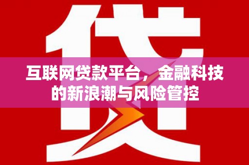 武义县互联网贷款平台，金融科技的新浪潮与风险管控