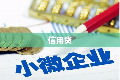 武义县信用贷