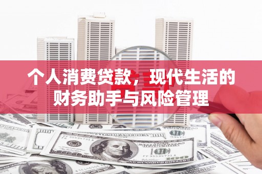 武义县个人消费贷款，现代生活的财务助手与风险管理