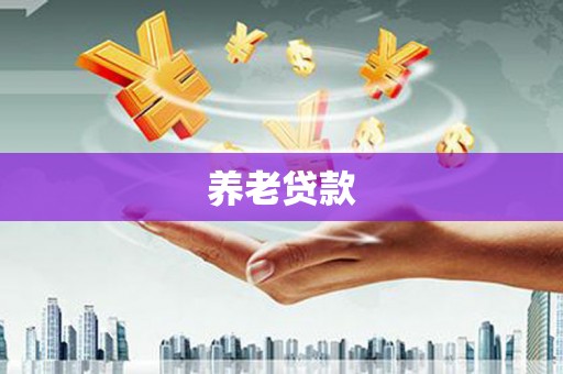 武义县养老贷款