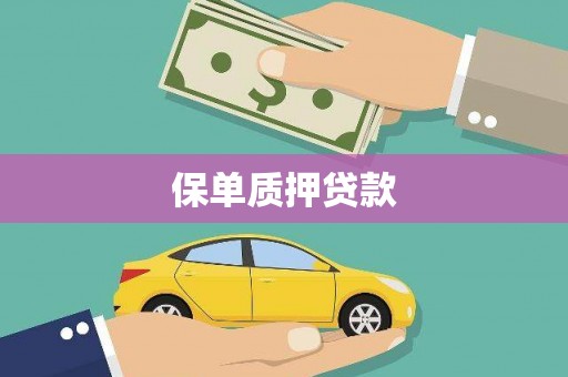 武义县保单质押贷款