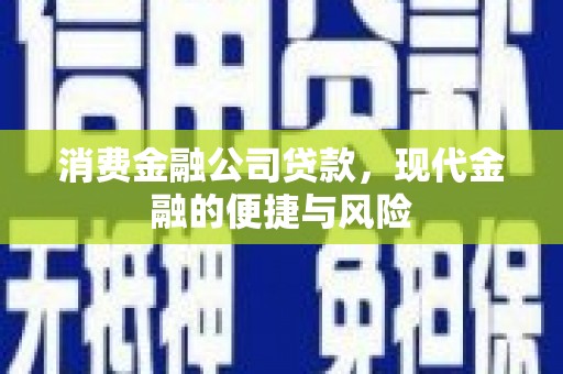 武义县消费金融公司贷款，现代金融的便捷与风险