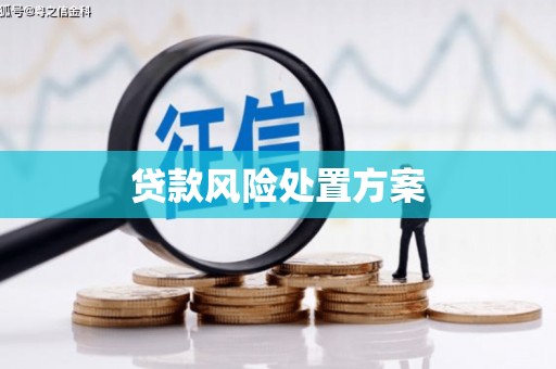 武义县贷款风险处置方案