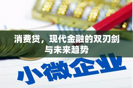 武义县消费贷，现代金融的双刃剑与未来趋势