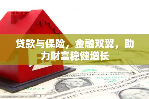 武义县贷款与保险，金融双翼，助力财富稳健增长