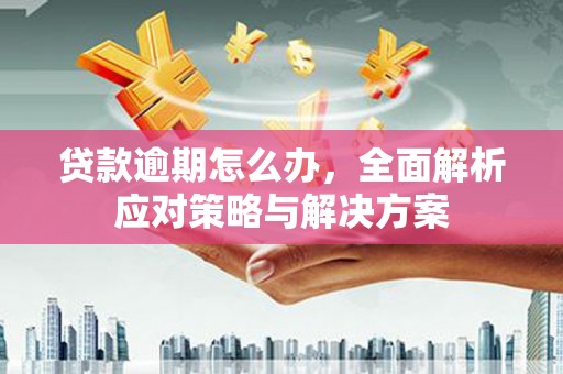 武义县贷款逾期怎么办，全面解析应对策略与解决方案