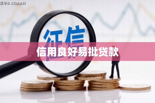 武义县信用良好易批贷款