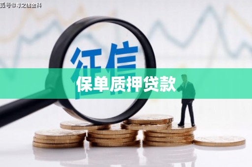 武义县保单质押贷款