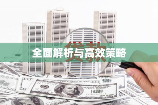 武义县全面解析与高效策略