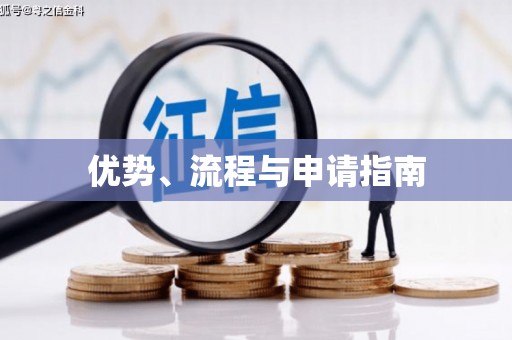 武义县优势、流程与申请指南