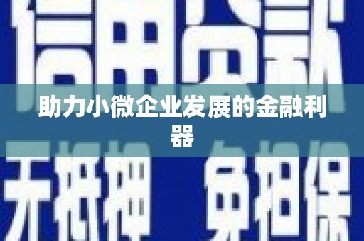 武义县助力小微企业发展的金融利器