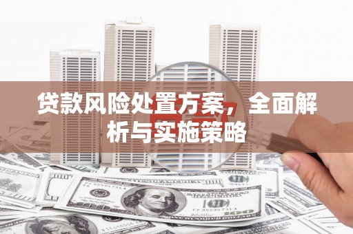 武义县贷款风险处置方案，全面解析与实施策略