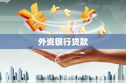 武义县外资银行贷款