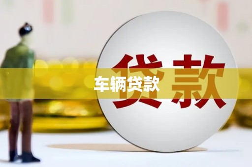 武义县车辆贷款